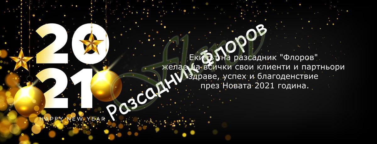 Честита нова година от Флоров Честита нова година от Флоров