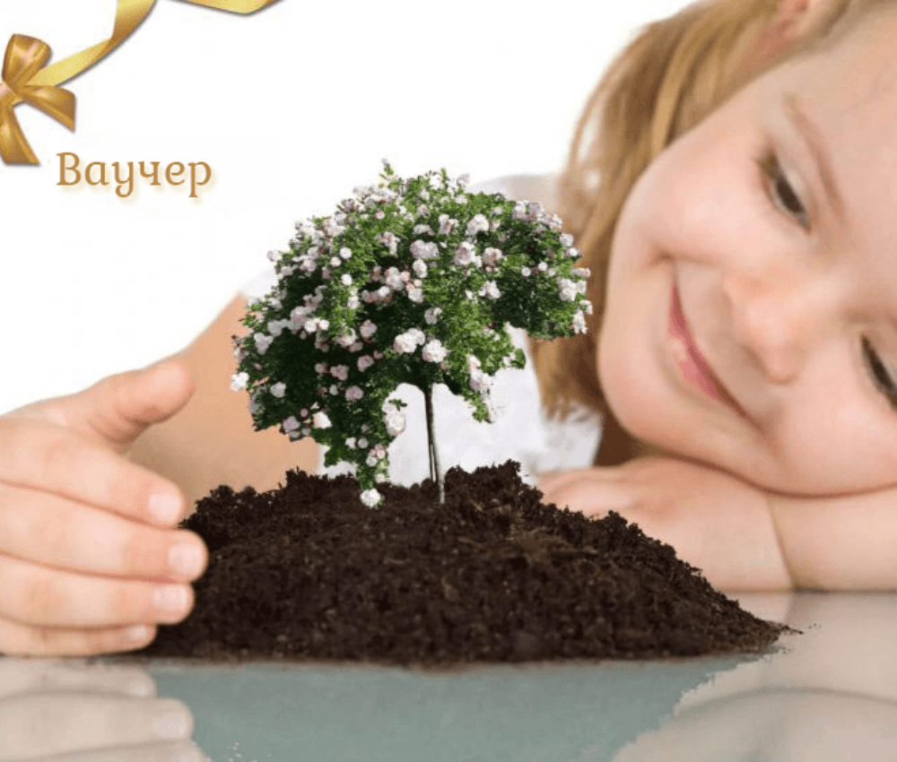 Подаръчен ваучер, разсадник Флорови